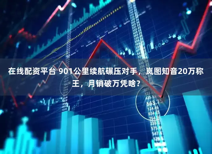 在线配资平台 901公里续航碾压对手，岚图知音20万称王，月销破万凭啥？