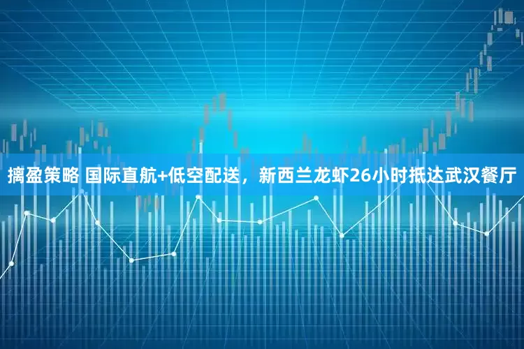 摛盈策略 国际直航+低空配送，新西兰龙虾26小时抵达武汉餐厅