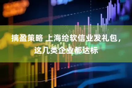 摛盈策略 上海给软信业发礼包，这几类企业都达标