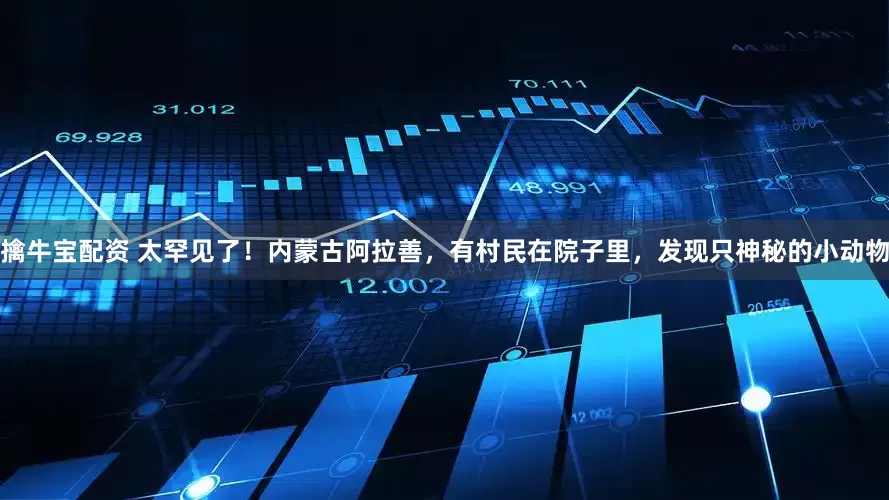 擒牛宝配资 太罕见了！内蒙古阿拉善，有村民在院子里，发现只神秘的小动物
