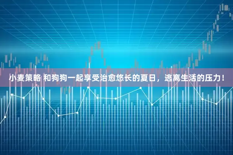 小麦策略 和狗狗一起享受治愈悠长的夏日，逃离生活的压力！