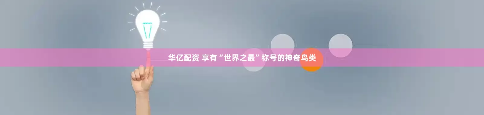 华亿配资 享有“世界之最”称号的神奇鸟类
