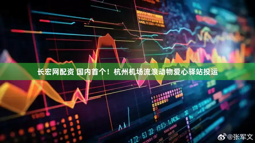 长宏网配资 国内首个！杭州机场流浪动物爱心驿站投运
