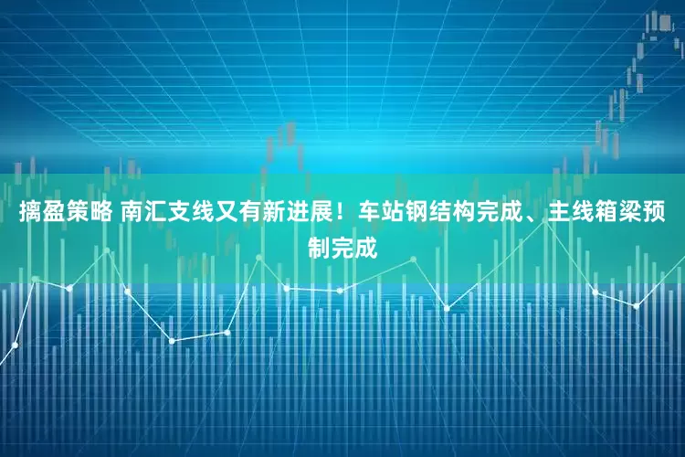 摛盈策略 南汇支线又有新进展！车站钢结构完成、主线箱梁预制完成